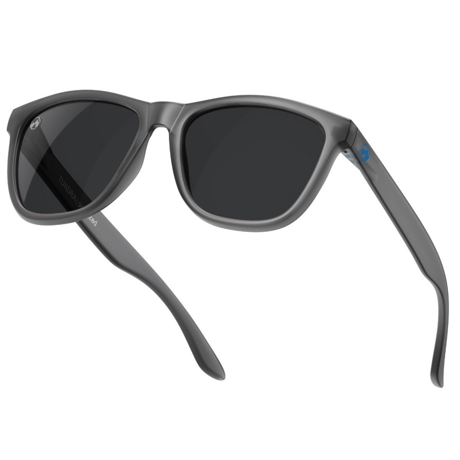 Tundra - Matte transparent grey frame - black lens