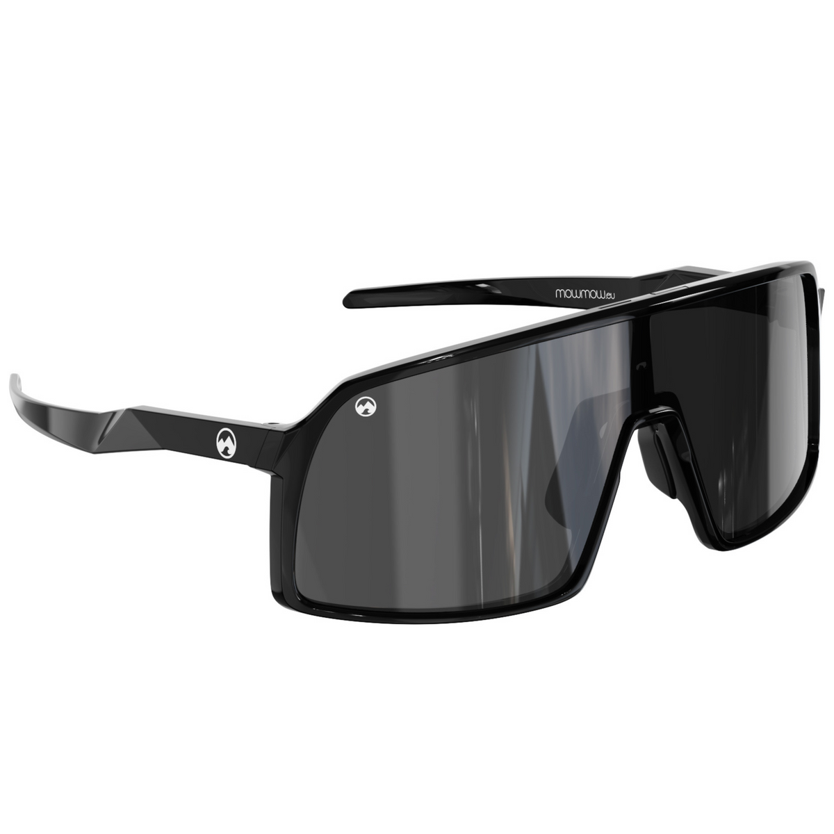 Viking - Shiny black frame | black